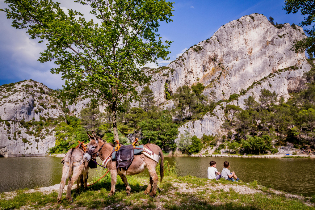 Saint-Rémy-de-Provence