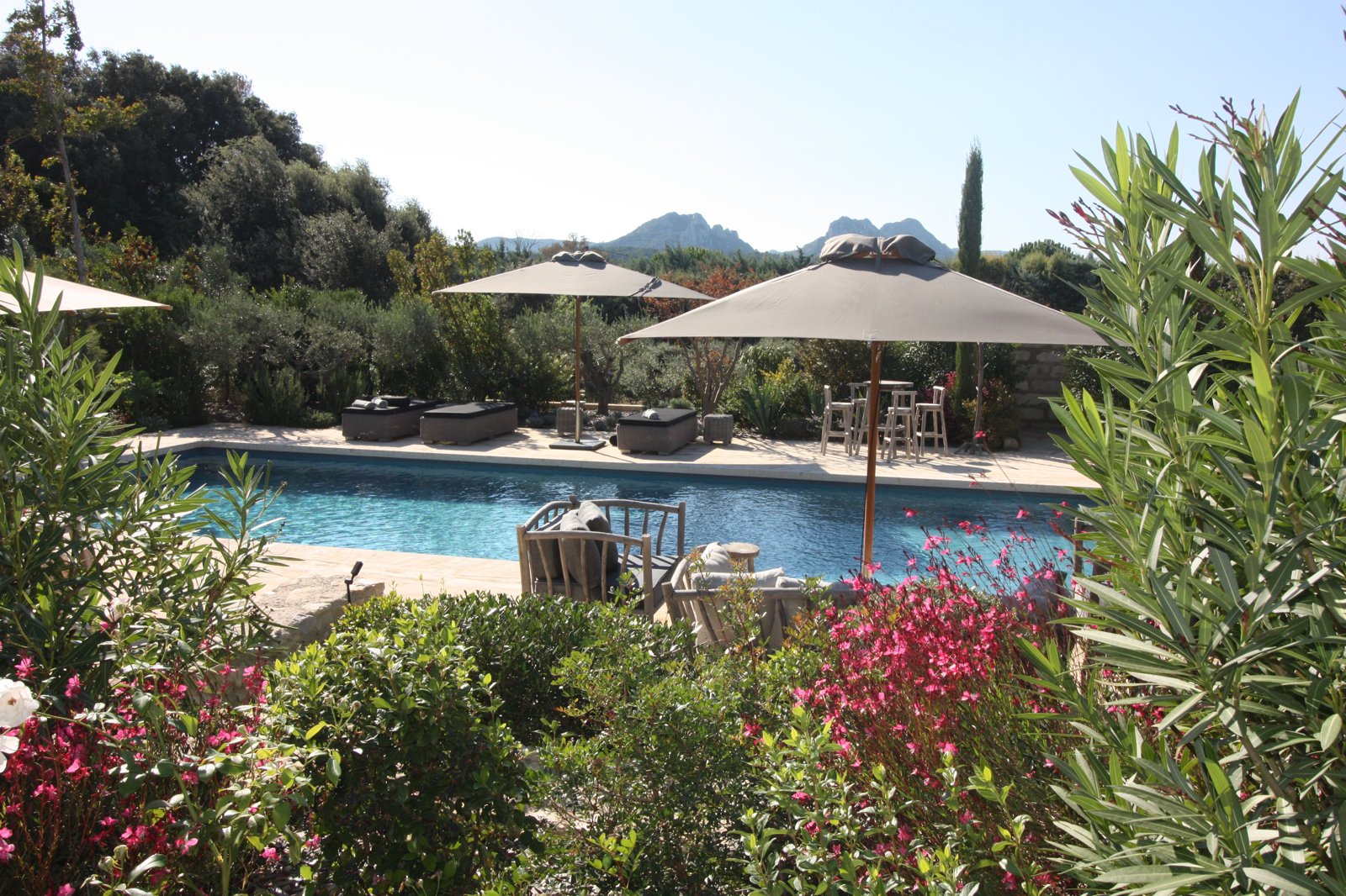 Mas du Roc — piscine et massifs fleuris